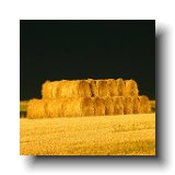 Straw Bales Againt The Storm